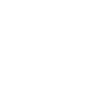 Security shield