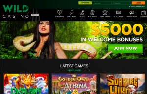 Wild Casino - Top Choice for Live Dealer Games and User-Friendly Interface